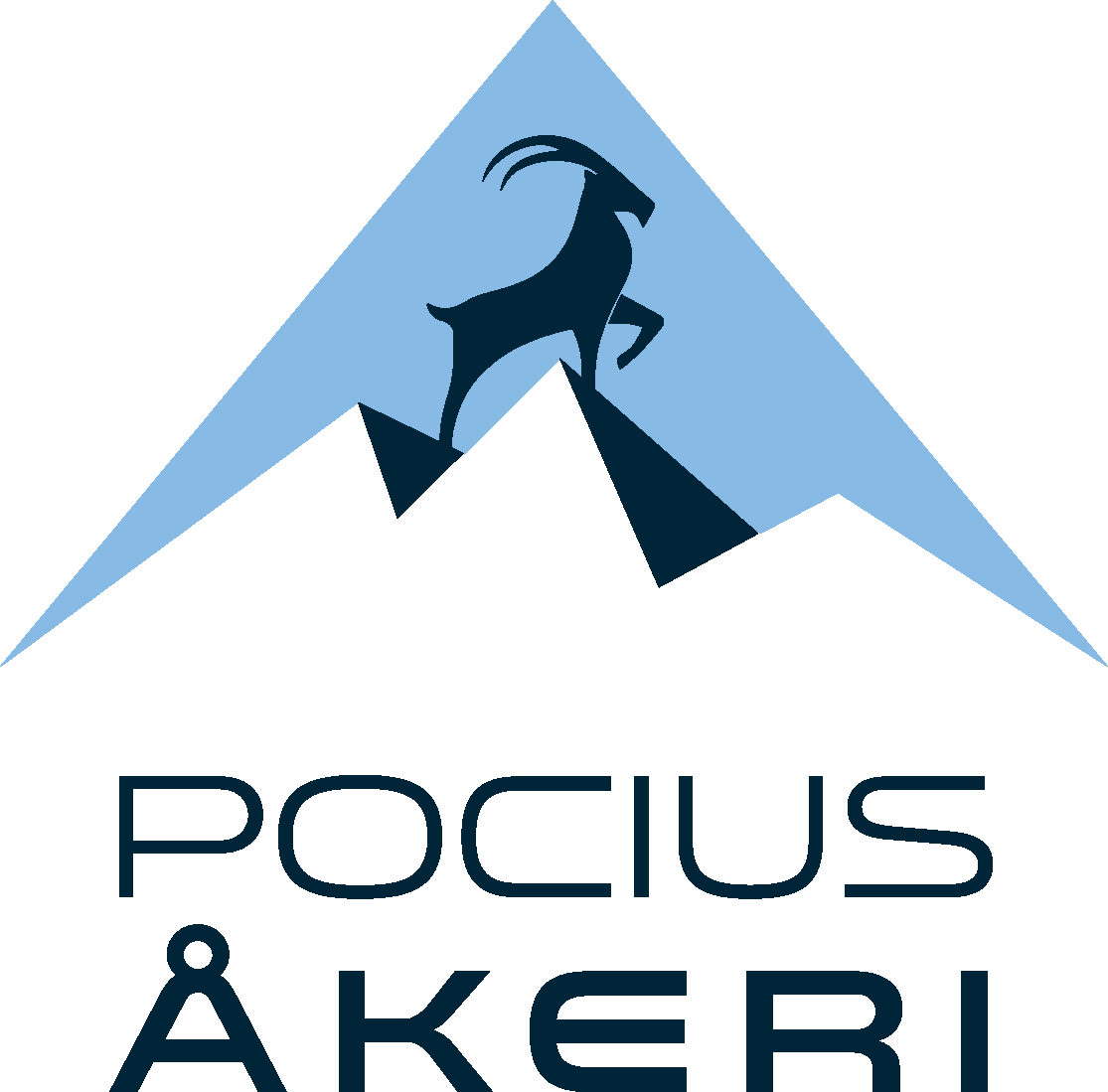 Logotipo kūrimas - POCIUS AKERI